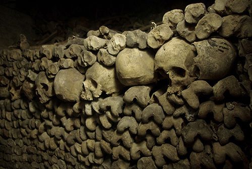 Bienvenue sur Rat Holes | Rat Holes